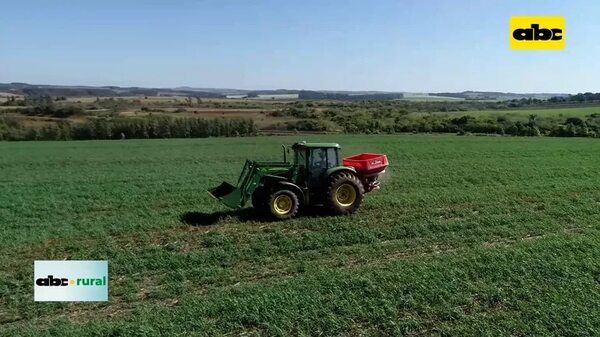 Disminuyo uso de cultivos de cobertura de invierno en 2022 - ABC Rural - ABC Color