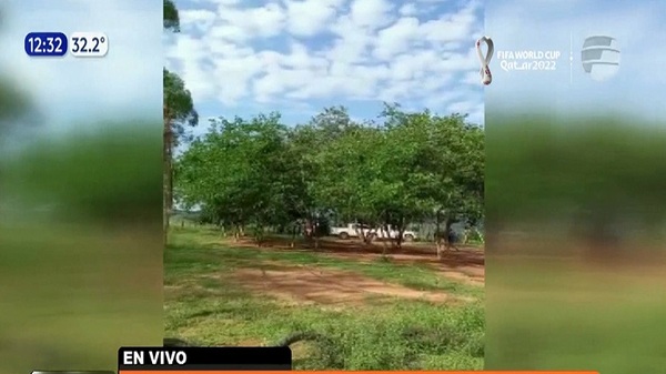 ¡Terrible! Otra menor de 6 años muere por mordedura de serpiente - Noticias Paraguay