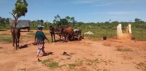 Comunidad indígena de Yataity del Norte exige apertura de camino - Nacionales - ABC Color