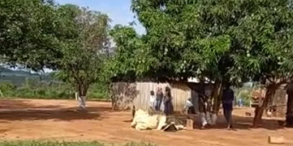 NIÑA DE 6 AÑOS, OTRA VÍCTIMA FATAL POR LA MORDEDURA DE SERPIENTE