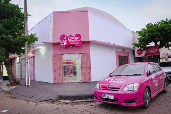 Inauguran estética canina en Concepción