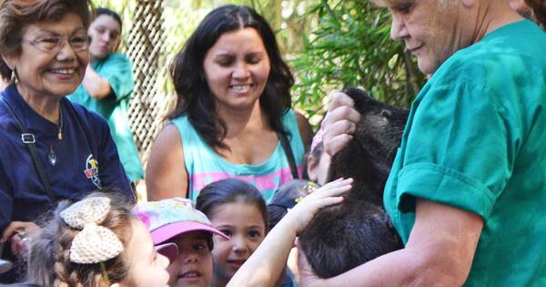 La Nación / Alicia Coppola: “Me transformo en madre mono, madre tucán”