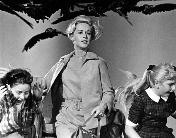 Apuntando a Esquilo: la próxima campaña de los pájaros contra el Paraguay - Cultural - ABC Color