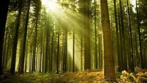 La Tierra puede perder hasta un 10% de la biodiversidad para 2050