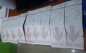 Arrestan a un hombre con nueve papeletas firmadas en un caso de delito electoral  - Política - ABC Color