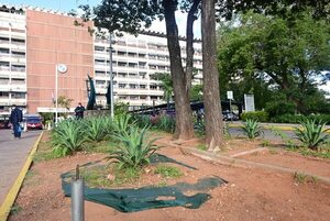 IPS: médicos desaprueban peligroso préstamo del ente - Nacionales - ABC Color