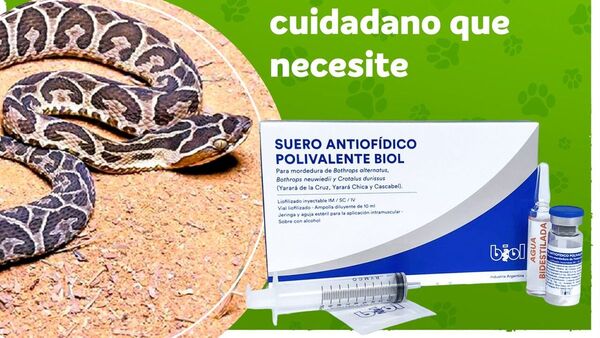Clínica veterinaria da gratis antídoto para tratar mordeduras de víboras