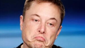 Usuarios votan a favor de que Elon Musk deje de dirigir Twitter
