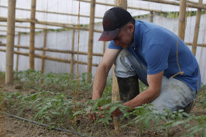 De campesino a agroempresario, la fórmula para fortalecer el campo colombiano - MarketData