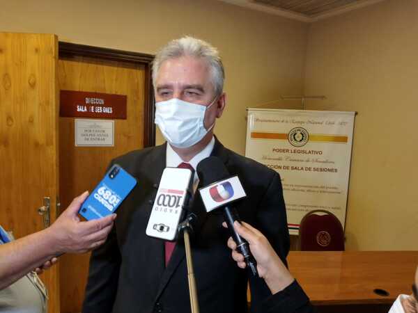Bacchetta rechaza pedido de pérdida de investidura Celeste Amarilla | 1000 Noticias