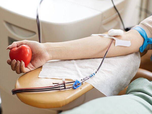 "Diciembre Solidario" insta a la donación de sangre - El Independiente
