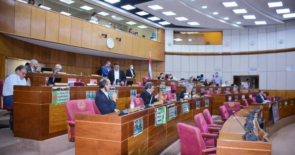 La Nación / Senado convoca a la última sesión extraordinaria del año