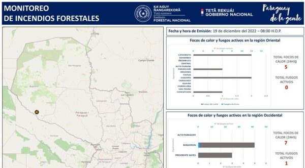 REPORTAN 12 FOCOS DE CALOR A NIVEL PAÍS: RIESGO DE INCENDIOS FORESTALES ES BAJO - Itapúa Noticias