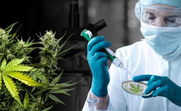 Allways Medical recibe Licencia para cultivo y producción de Cannabis
