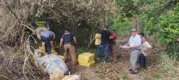 INCAUTAN CARGAMENTO DE MARIHUANA EN CAPITÁN MEZA - Itapúa Noticias