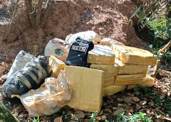Diario HOY | Intervienen puerto clandestino en Itapúa e incautan cientos de kilos de marihuana