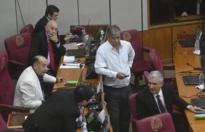 Senado tratará el ascenso de 123 comisarios de la Policía Nacional - Política - ABC Color