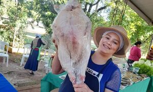 Feriantes de Franco volverán el viernes con productos frescos