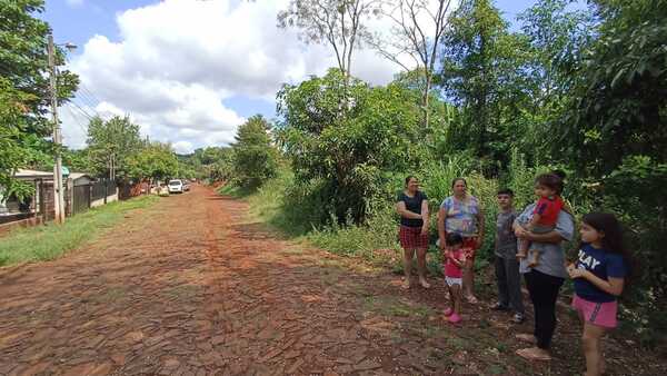 Vecinos solicitan limpieza de terreno por temor a alimañas - La Clave