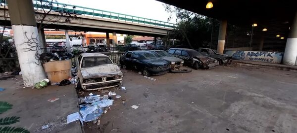 Madame Lynch y Calle Última: basura y hasta vehículos chatarra se acumulan bajo el viaducto - Nacionales - ABC Color