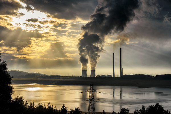 La naturaleza puede contribuir a financiar la resiliencia económica | Economía y Finanzas | 5Días