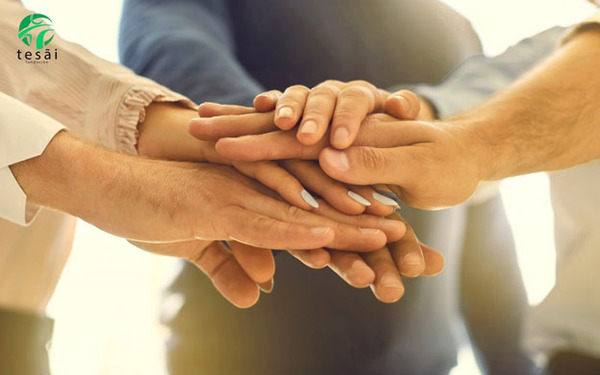 Fundación Tesãi celebra el Día Internacional de la Solidaridad Humana | DIARIO PRIMERA PLANA