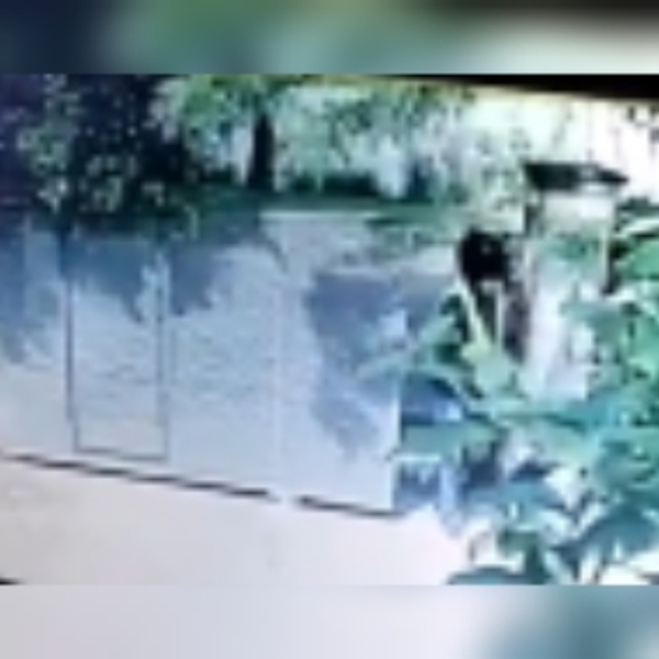Saltan videos de autor del homicidio de abogado y sería un conocido