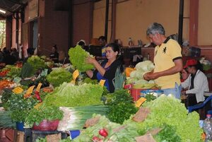 Hortigranjeros del Alto Paraná están preparados para abastecer demanda de compras navideñas, aseguran - ABC en el Este - ABC Color