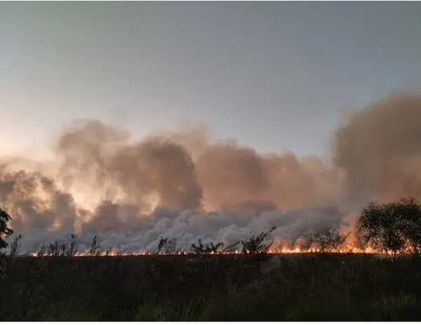 Feroz incendio de pastizales en Caacupé