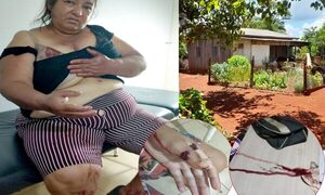 Una familia vivió cuatro horas de terror en manos de tres delincuentes en San Alberto – Diario TNPRESS