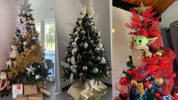 Expertos en decoración hacen realidad el arbolito soñado para las fiestas | Lifestyle | 5Días
