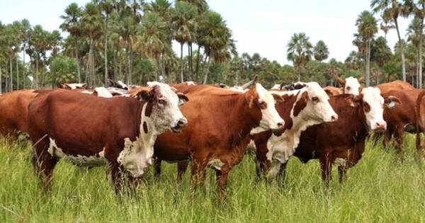 La Nación / Persiste temor de que impongan restricciones comerciales a productos agropecuarios