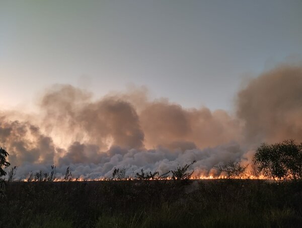Diario HOY | Controlan incendio forestal de importante magnitud