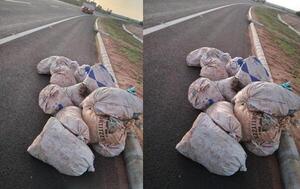 Inconscientes tiraron sus basuras en la ruta en Coronel Oviedo – Prensa 5