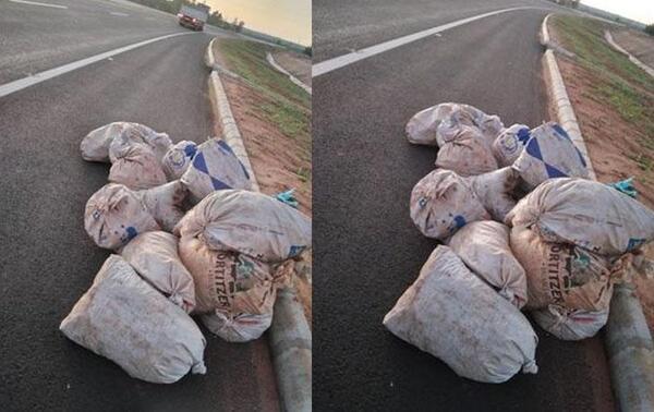 Inconscientes tiraron sus basuras en la ruta en Coronel Oviedo – Prensa 5
