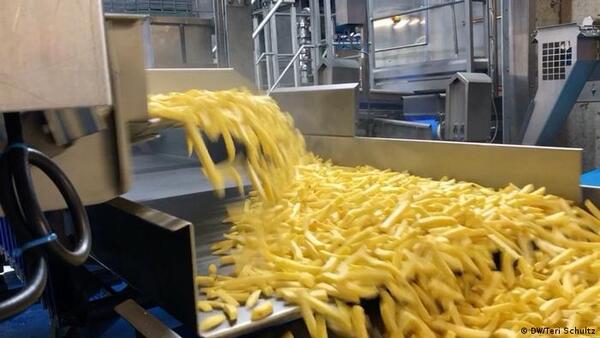 Colombia pierde litigio ante la OMC por aranceles a papas fritas congeladas de la Unión Europea