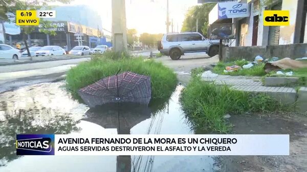 Avda. Fernando de la Mora es un chiquero - ABC Noticias - ABC Color