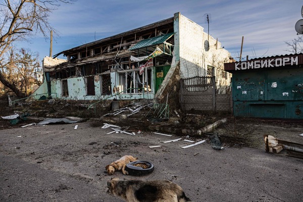 Diario HOY | La ciudad ucraniana en la que solo quedan ruinas, gatos y un hombre
