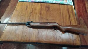 Niño murió por disparo de rifle de aire comprimido