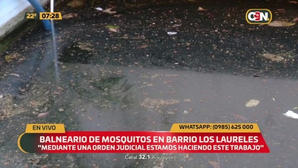Balneario de mosquitos en Barrio Los Laureles - C9N