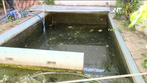 Balneario de mosquitos en Barrio Los Laureles - SNT