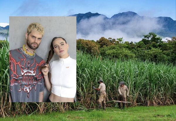 La banda que compró una destilería para salvar a la selva tropical