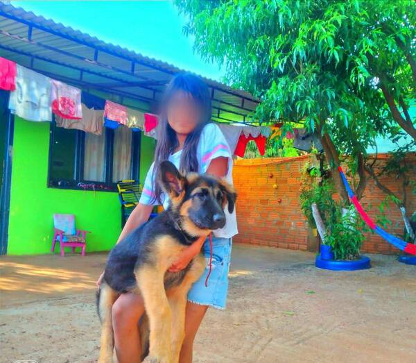 Ofrece un millón de guaraníes para el que le devuelva a su perro Rocky: "Mis hijas ya no duermen"