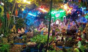 Casi 7 décadas de tradición: desde hoy podés visitar el pesebre hidráulico