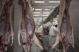 Argentina comenzó sus exportaciones de carne de cerdo hacia Singapur
