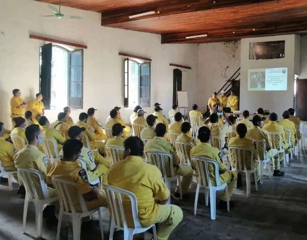 Agencia de Tránsito quiere pagar G. 219 millones por cursos que bomberos ofrecen gratis - Nacionales - ABC Color