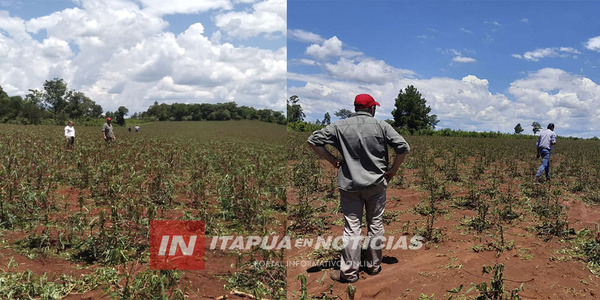 LAMENTAN EL GRAN PERJUICIO TRAS FUERTE GRANIZADA A PRODUCTORES DE ITAPÚA - Itapúa Noticias