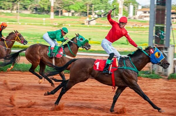 Turf: Aperitivo de Navidad en el Jockey - Polideportivo - ABC Color