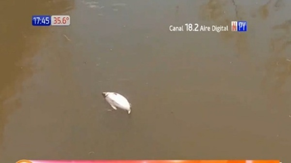 Alta contaminación del rio Tebicuarymí - Paraguaype.com