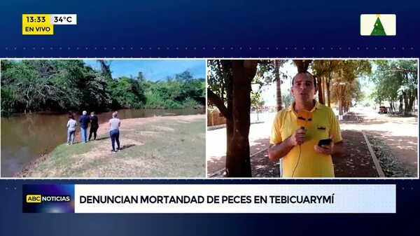Denuncian mortandad de peces en Tebicuarymí - ABC Noticias - ABC Color